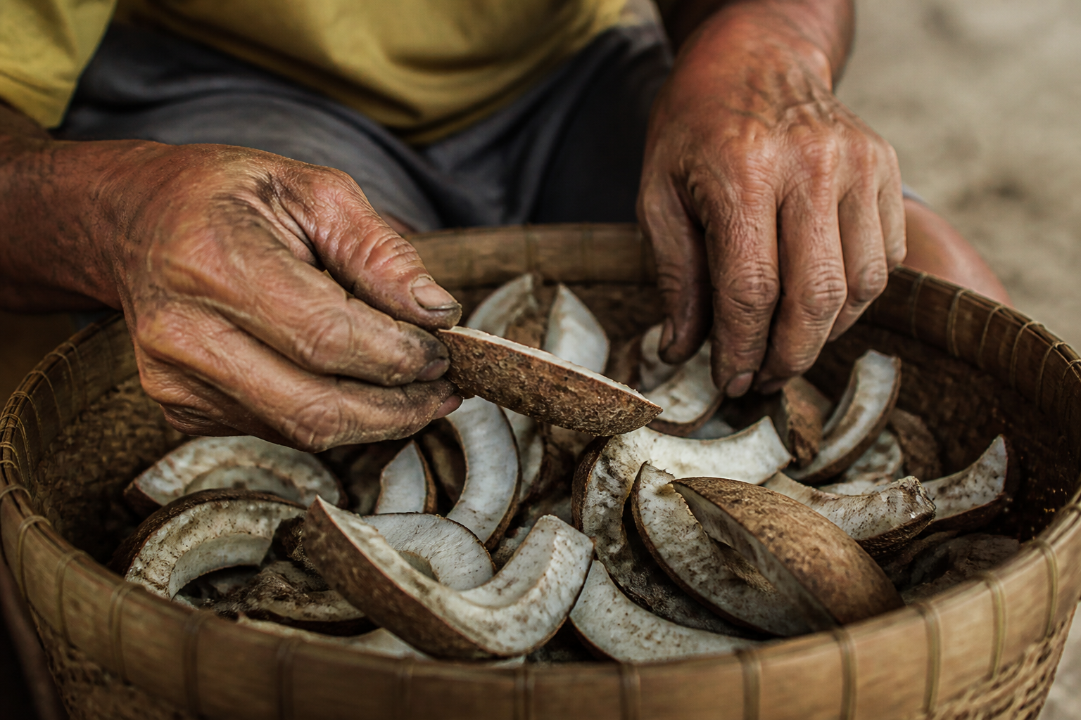 A farmer's hands sorting dried copra in a woven basket