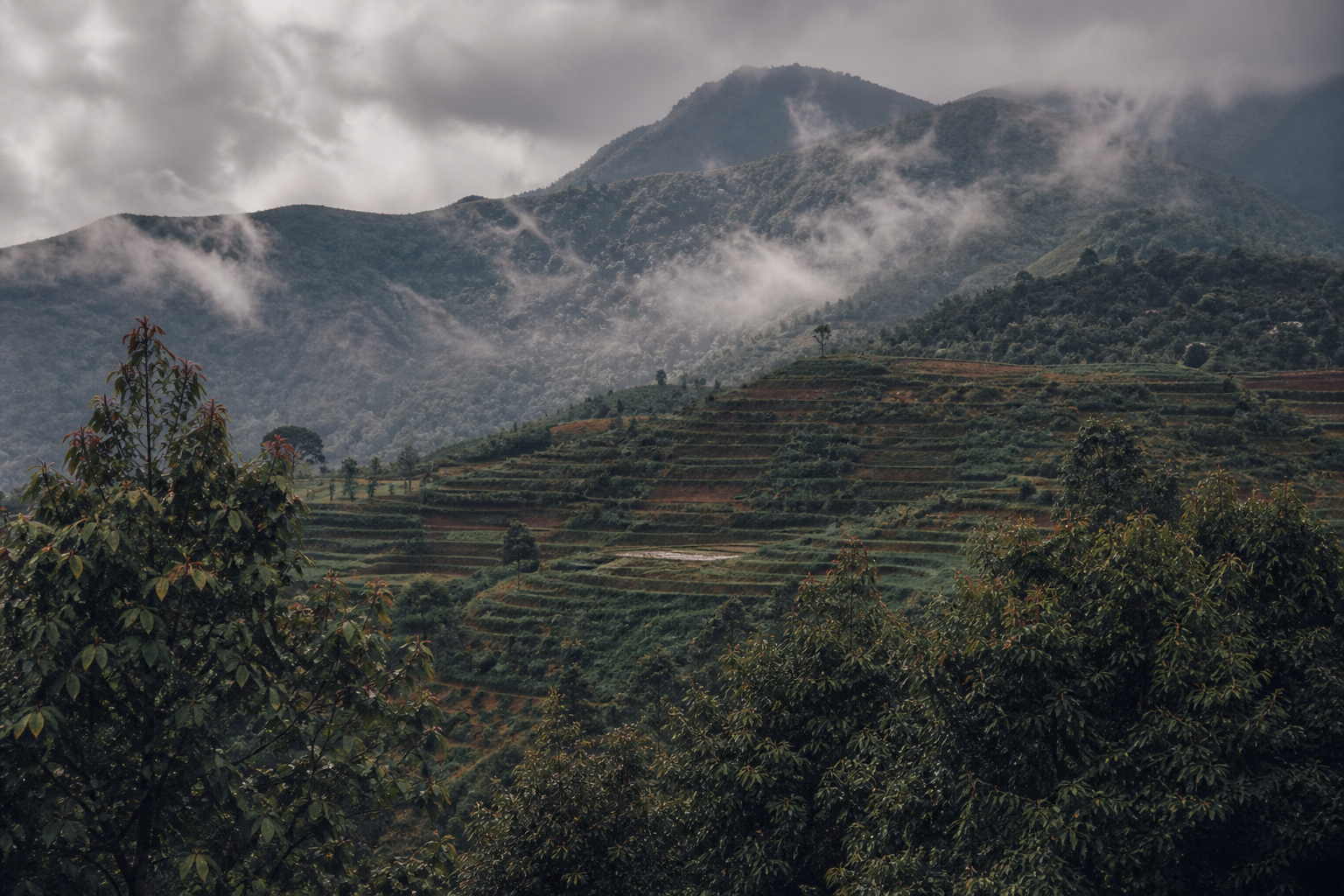 Smallholder farmland in the volcanic highlands of North Sulawesi
